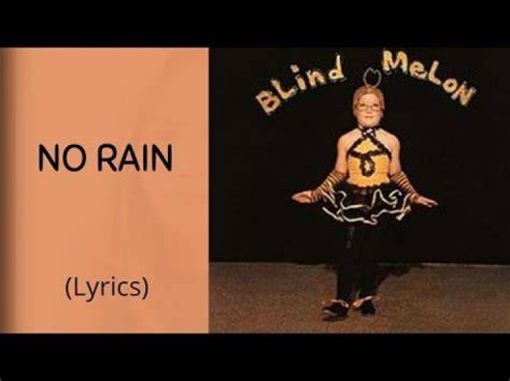Blind Melon - No Rain Lyrics Meaning