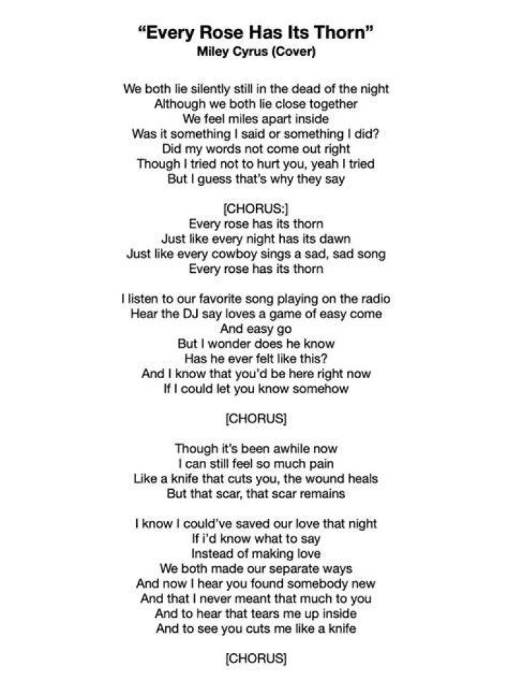 Every Rose Has Its Thorn Lyrics Meaning