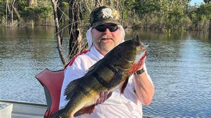 Impact of Buck McNeely's Outdoor TV Show