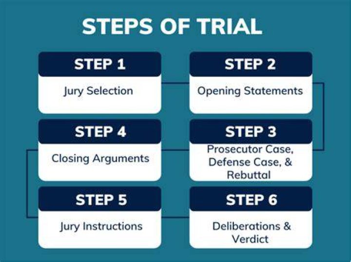Judicial Proceedings and Trials Unfold in the Anjali Arora MMS Scandal: Presented Evidence Judicial Proceedings and Trials Unfold in the Anjali Arora MMS Scandal: Presented Evidence