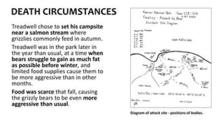 Mysterious Circumstances Surrounding Timothy Treadwell
